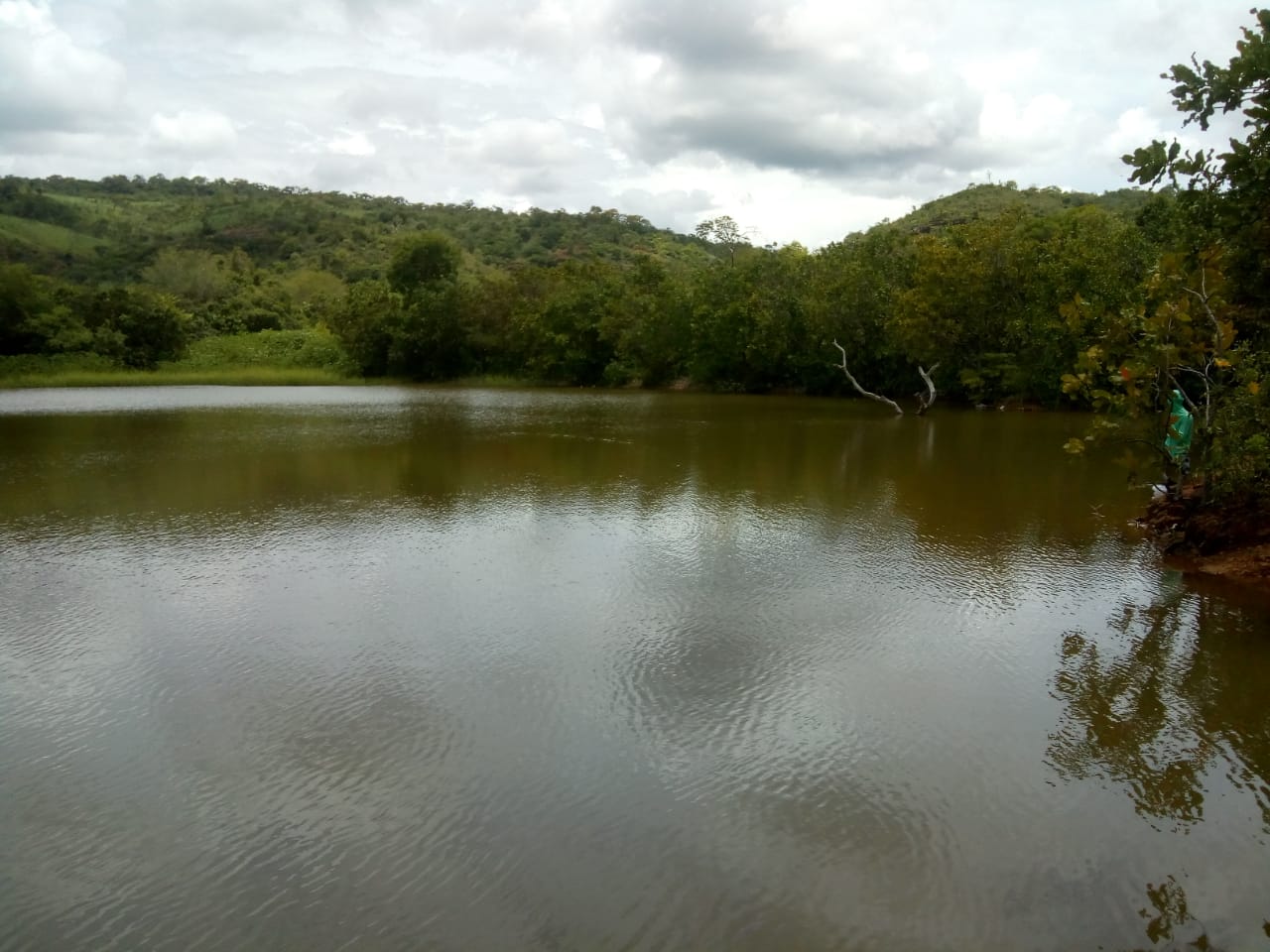 Imagem capa da notícia Secretaria do Meio Ambiente de Francinópolis faz povoamento de alevinos em açudes.