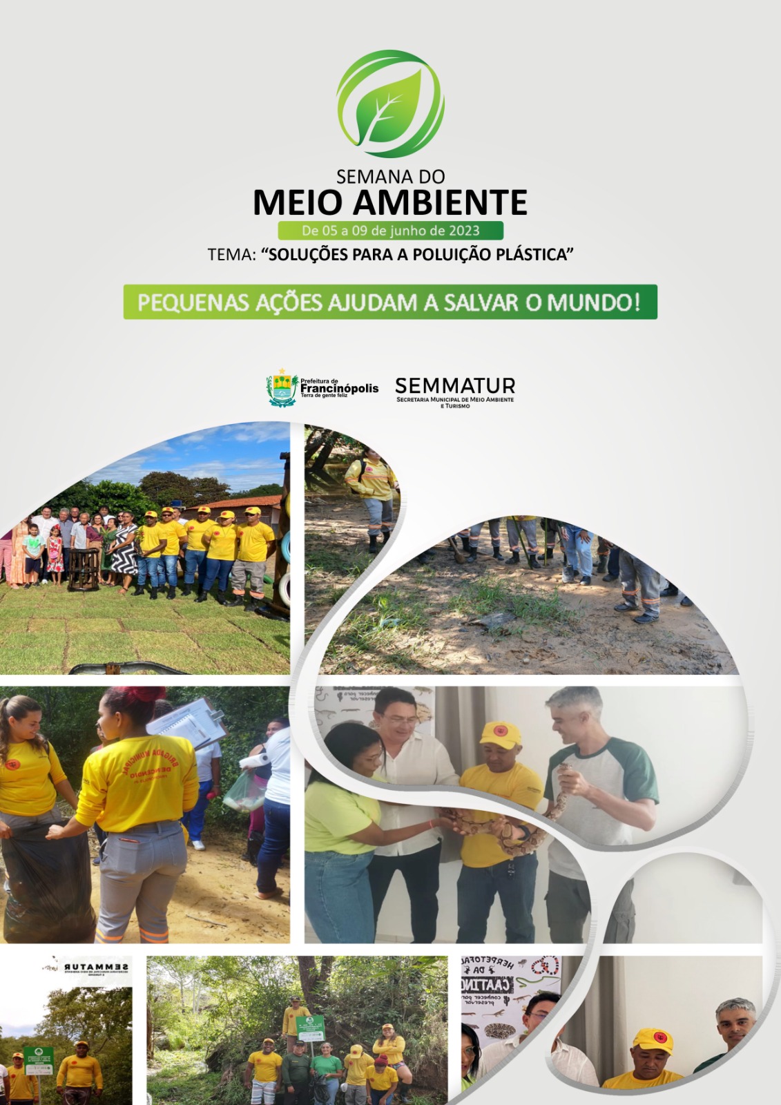 Imagem capa da notícia 5 de junho - Dia do Meio Ambiente