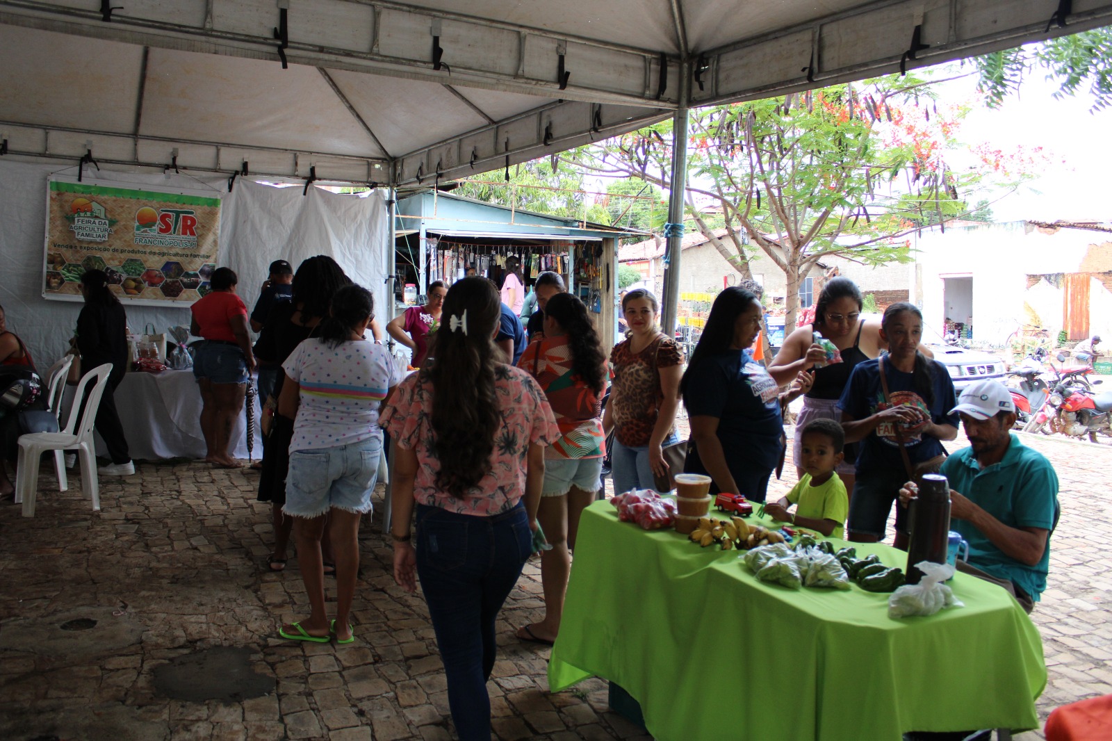 Imagem capa da notícia 6ª Feira da Agricultura Familiar de Francinópolis: Unindo Produtores e Consumidores em Benefício de Todos