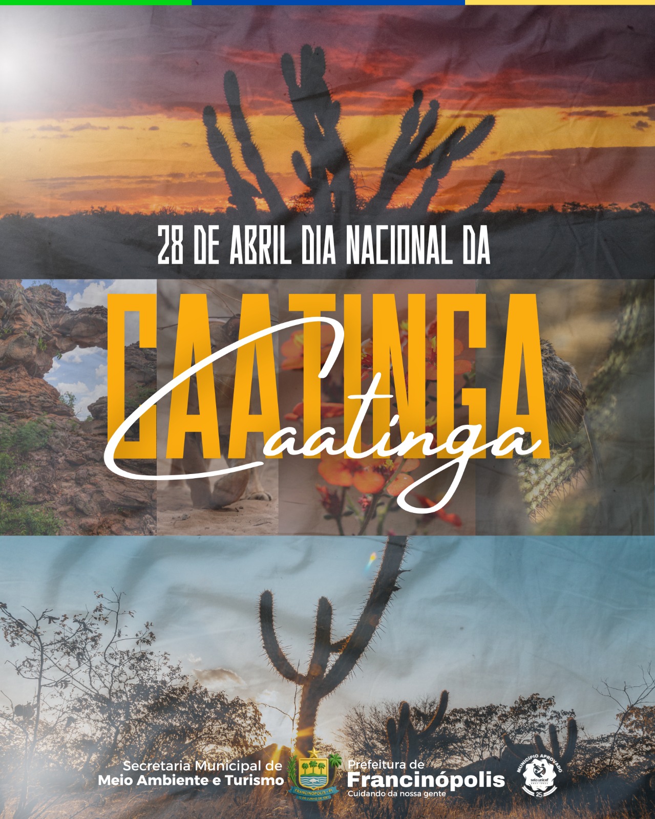 Imagem capa da notícia Dia Nacional da Caatinga é celebrado com divulgação nas redes sociais pela Secretaria Municipal de Meio Ambiente e Turismo